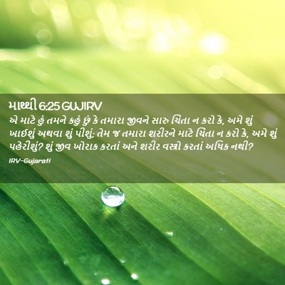 Picture 02 - માથ્થી 6:25 GUJIRV - એ માટે હું તમને - Bible Verse Picture