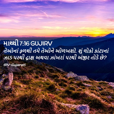 Picture 02 - માથ્થી 7:16 GUJIRV - તેઓનાં ફળથી તમે - Bible Verse Picture