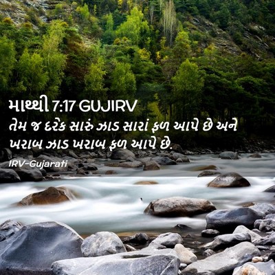 Picture 02 - માથ્થી 7:17 GUJIRV - તેમ જ દરેક સારું - Bible Verse Picture