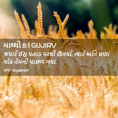 Picture 02 - માથ્થી 8:1 GUJIRV - જયારે ઈસુ પહાડ - Bible Verse Picture