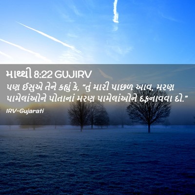 Picture 02 - માથ્થી 8:22 GUJIRV - પણ ઈસુએ તેને - Bible Verse Picture