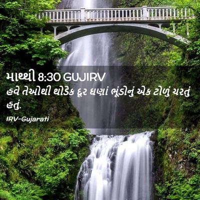 Picture 02 - માથ્થી 8:30 GUJIRV - હવે તેઓથી થોડેક - Bible Verse Picture