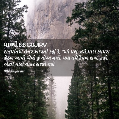 Picture 02 - માથ્થી 8:8 GUJIRV - શતપતિએ ઉત્તર - Bible Verse Picture