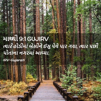Picture 02 - માથ્થી 9:1 GUJIRV - ત્યારે હોડીમાં - Bible Verse Picture