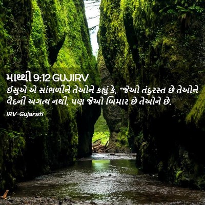 Picture 02 - માથ્થી 9:12 GUJIRV - ઈસુએ એ સાંભળીને - Bible Verse Picture