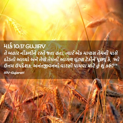 Picture 02 - માર્ક 10:17 GUJIRV - તે બહાર નીકળીને - Bible Verse Picture