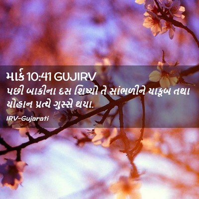 Picture 02 - માર્ક 10:41 GUJIRV - પછી બાકીના દસ - Bible Verse Picture