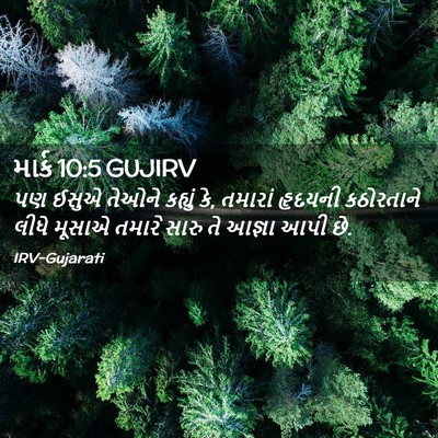 Picture 02 - માર્ક 10:5 GUJIRV - પણ ઈસુએ તેઓને - Bible Verse Picture