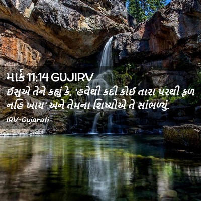 Picture 02 - માર્ક 11:14 GUJIRV - ઈસુએ તેને કહ્યું - Bible Verse Picture