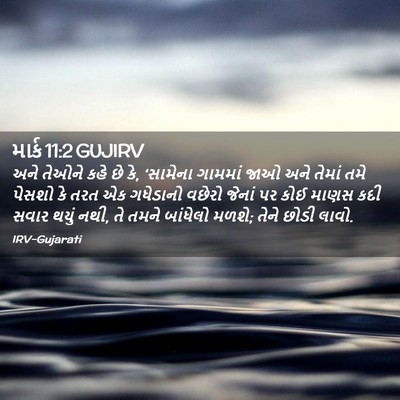 Picture 02 - માર્ક 11:2 GUJIRV - અને તેઓને કહે છે - Bible Verse Picture