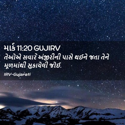 Picture 02 - માર્ક 11:20 GUJIRV - તેઓએ સવારે - Bible Verse Picture