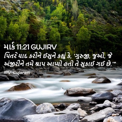 Picture 02 - માર્ક 11:21 GUJIRV - પિતરે યાદ કરીને - Bible Verse Picture