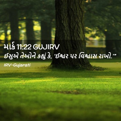 Picture 02 - માર્ક 11:22 GUJIRV - ઈસુએ તેઓને કહ્યું - Bible Verse Picture