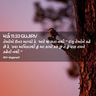Picture 02 - માર્ક 11:33 GUJIRV - તેઓએ ઉત્તર આપ્યો - Bible Verse Picture