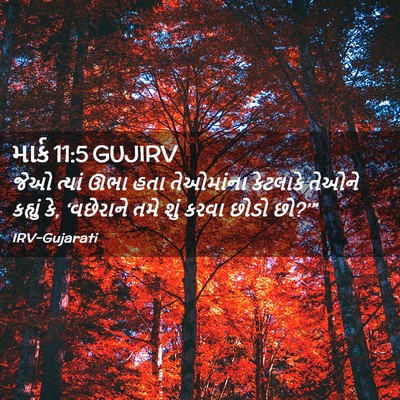 Picture 02 - માર્ક 11:5 GUJIRV - જેઓ ત્યાં ઊભા હતા - Bible Verse Picture
