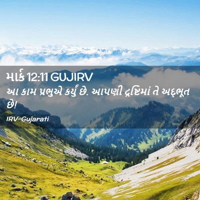 Picture 02 - માર્ક 12:11 GUJIRV - આ કામ પ્રભુએ - Bible Verse Picture