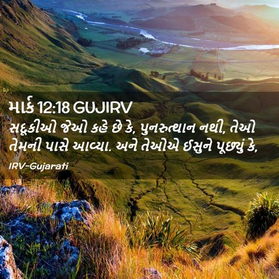 Picture 02 - માર્ક 12:18 GUJIRV - સદૂકીઓ જેઓ કહે છે - Bible Verse Picture