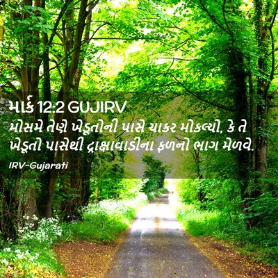 Picture 02 - માર્ક 12:2 GUJIRV - મોસમે તેણે - Bible Verse Picture