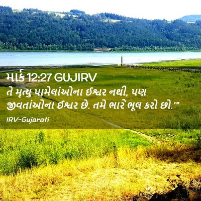 Picture 02 - માર્ક 12:27 GUJIRV - તે મૃત્યુ - Bible Verse Picture