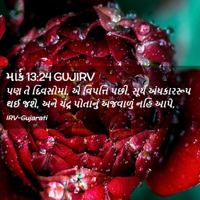 Picture 02 - માર્ક 13:24 GUJIRV - પણ તે દિવસોમાં, એ - Bible Verse Picture