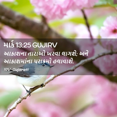 Picture 02 - માર્ક 13:25 GUJIRV - આકાશના તારાઓ ખરવા - Bible Verse Picture