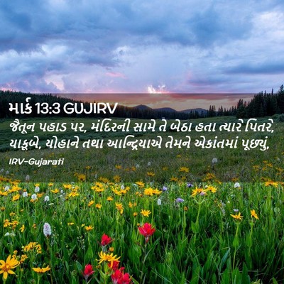 Picture 02 - માર્ક 13:3 GUJIRV - જૈતૂન પહાડ પર, - Bible Verse Picture