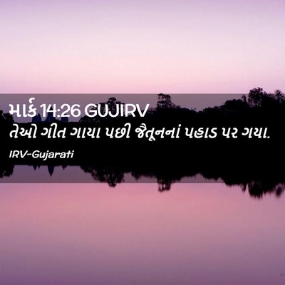 Picture 02 - માર્ક 14:26 GUJIRV - તેઓ ગીત ગાયા પછી - Bible Verse Picture