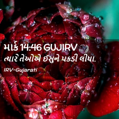 Picture 02 - માર્ક 14:46 GUJIRV - ત્યારે તેઓએ ઈસુને - Bible Verse Picture