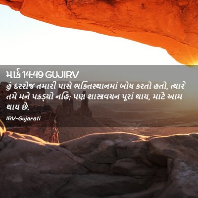Picture 02 - માર્ક 14:49 GUJIRV - હું દરરોજ તમારી - Bible Verse Picture