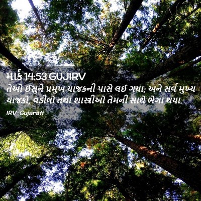 Picture 02 - માર્ક 14:53 GUJIRV - તેઓ ઈસુને પ્રમુખ - Bible Verse Picture