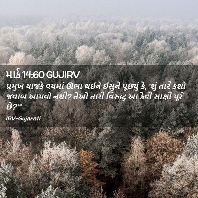 Picture 02 - માર્ક 14:60 GUJIRV - પ્રમુખ યાજકે - Bible Verse Picture