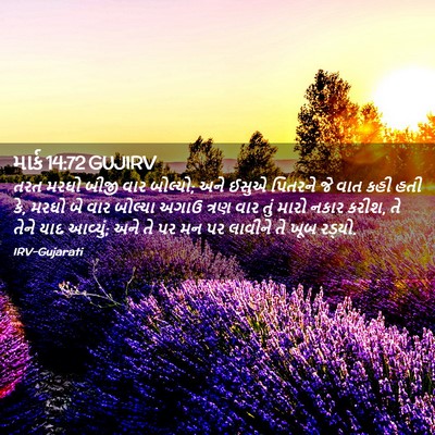 Picture 02 - માર્ક 14:72 GUJIRV - તરત મરઘો બીજી વાર - Bible Verse Picture