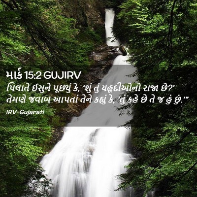 Picture 02 - માર્ક 15:2 GUJIRV - પિલાતે ઈસુને - Bible Verse Picture