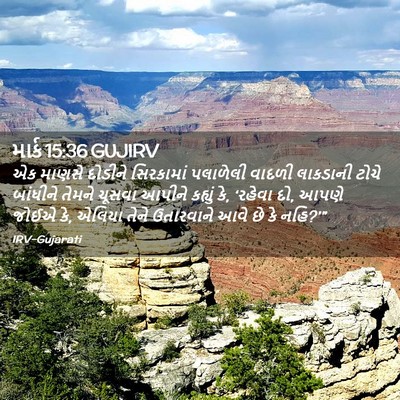 Picture 02 - માર્ક 15:36 GUJIRV - એક માણસે દોડીને - Bible Verse Picture