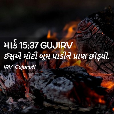 Picture 02 - માર્ક 15:37 GUJIRV - ઈસુએ મોટી બૂમ - Bible Verse Picture