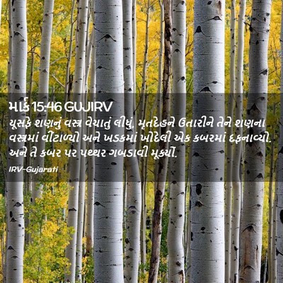 Picture 02 - માર્ક 15:46 GUJIRV - યૂસફે શણનું - Bible Verse Picture