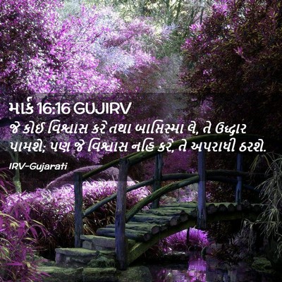 Picture 02 - માર્ક 16:16 GUJIRV - જે કોઈ વિશ્વાસ કરે - Bible Verse Picture