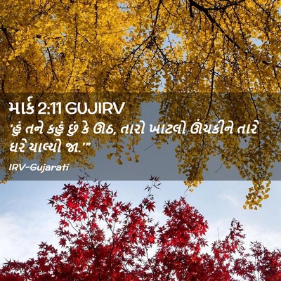 Picture 02 - માર્ક 2:11 GUJIRV - ‘હું તને કહું છું - Bible Verse Picture