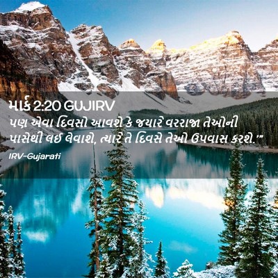 Picture 02 - માર્ક 2:20 GUJIRV - પણ એવા દિવસો આવશે - Bible Verse Picture