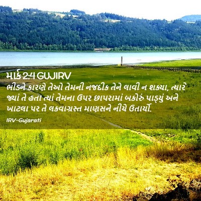 Picture 02 - માર્ક 2:4 GUJIRV - ભીડને કારણે તેઓ - Bible Verse Picture