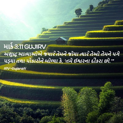 Picture 02 - માર્ક 3:11 GUJIRV - અશુદ્ધ આત્માઓએ - Bible Verse Picture