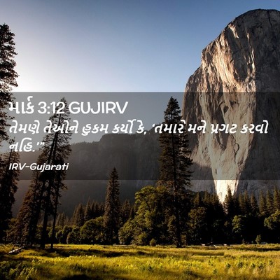 Picture 02 - માર્ક 3:12 GUJIRV - તેમણે તેઓને હુકમ - Bible Verse Picture
