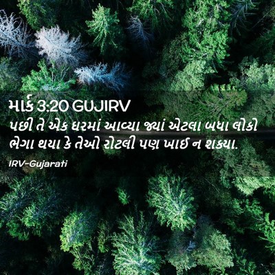 Picture 02 - માર્ક 3:20 GUJIRV - પછી તે એક ઘરમાં - Bible Verse Picture