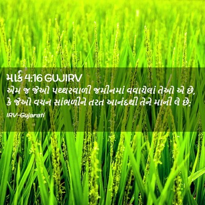 Picture 02 - માર્ક 4:16 GUJIRV - એમ જ જેઓ પથ્થરવાળી - Bible Verse Picture