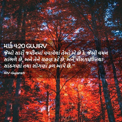 Picture 02 - માર્ક 4:20 GUJIRV - જેઓ સારી જમીનમાં - Bible Verse Picture