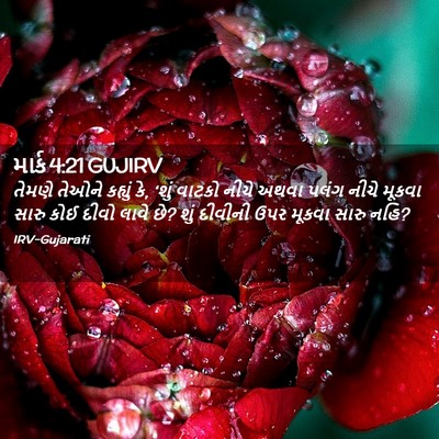 Picture 02 - માર્ક 4:21 GUJIRV - તેમણે તેઓને - Bible Verse Picture