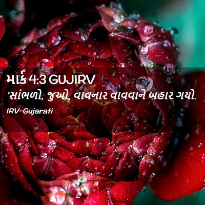 Picture 02 - માર્ક 4:3 GUJIRV - ‘સાંભળો, જુઓ, - Bible Verse Picture