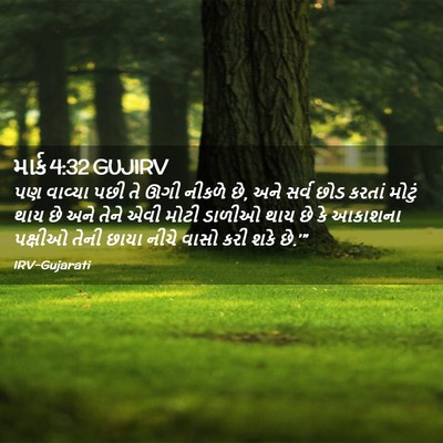 Picture 02 - માર્ક 4:32 GUJIRV - પણ વાવ્યા પછી તે - Bible Verse Picture