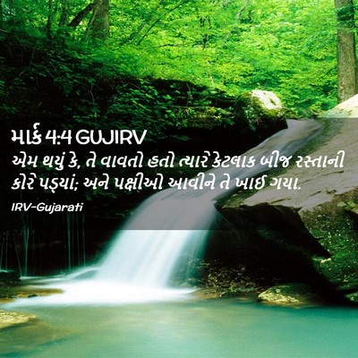 Picture 02 - માર્ક 4:4 GUJIRV - એમ થયું કે, તે - Bible Verse Picture