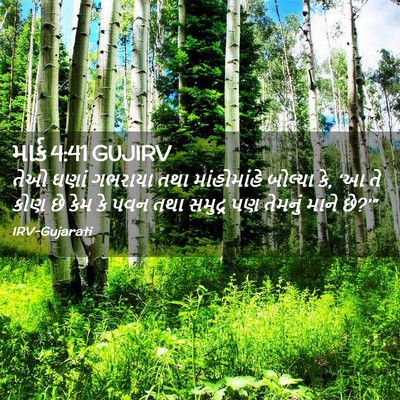 Picture 02 - માર્ક 4:41 GUJIRV - તેઓ ઘણાં ગભરાયા - Bible Verse Picture